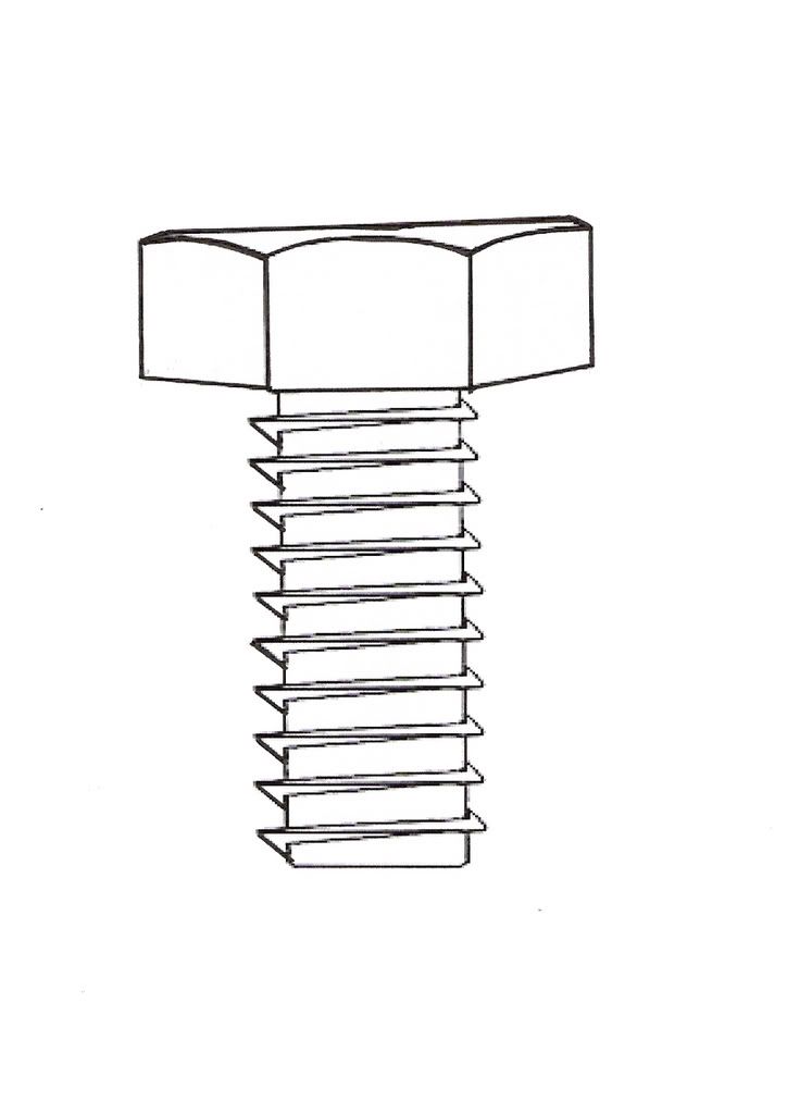 Wood Screw Diagram at Linda Hack blog